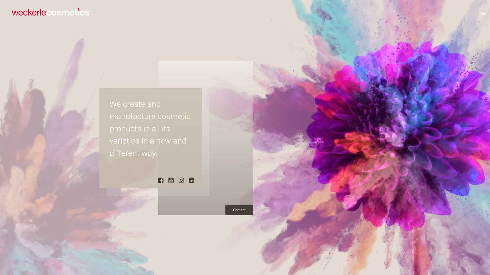 Referenzprojekt: Weckerle Cosmetics — Website von Konrad Griesser